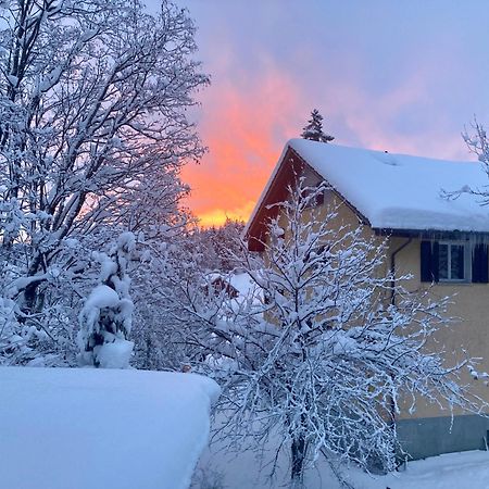 Ferienwohnung Haus Am Bach In Toggenburg Wildhaus Εξωτερικό φωτογραφία