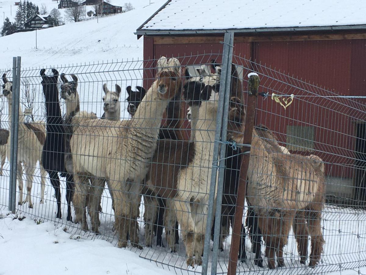 Ferienwohnung Haus Am Bach In Toggenburg Wildhaus Εξωτερικό φωτογραφία