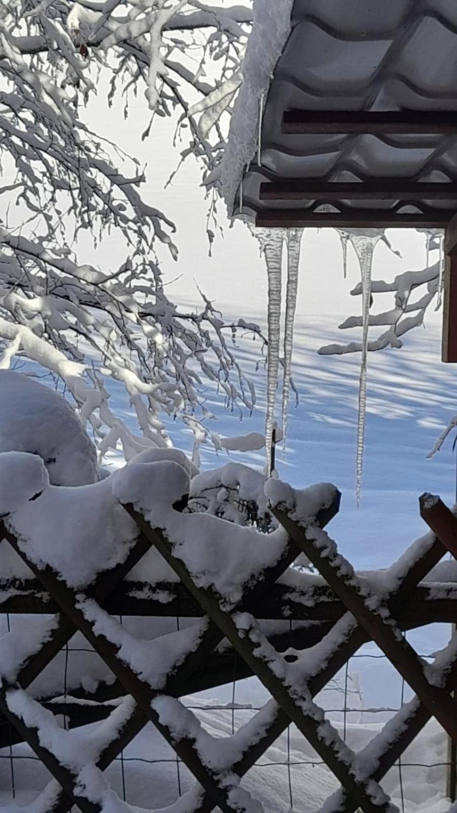 Ferienwohnung Haus Am Bach In Toggenburg Wildhaus Εξωτερικό φωτογραφία