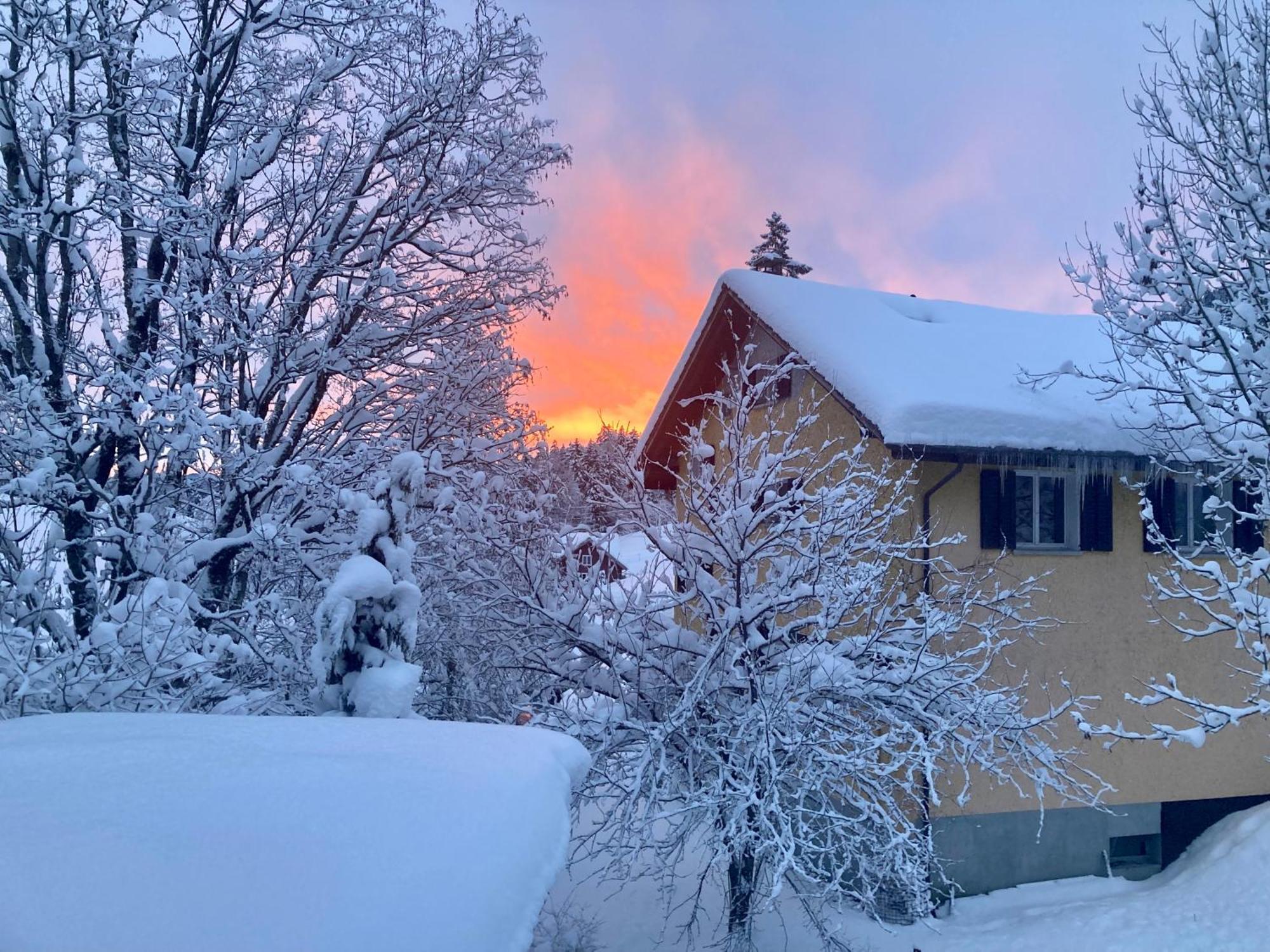 Ferienwohnung Haus Am Bach In Toggenburg Wildhaus Εξωτερικό φωτογραφία