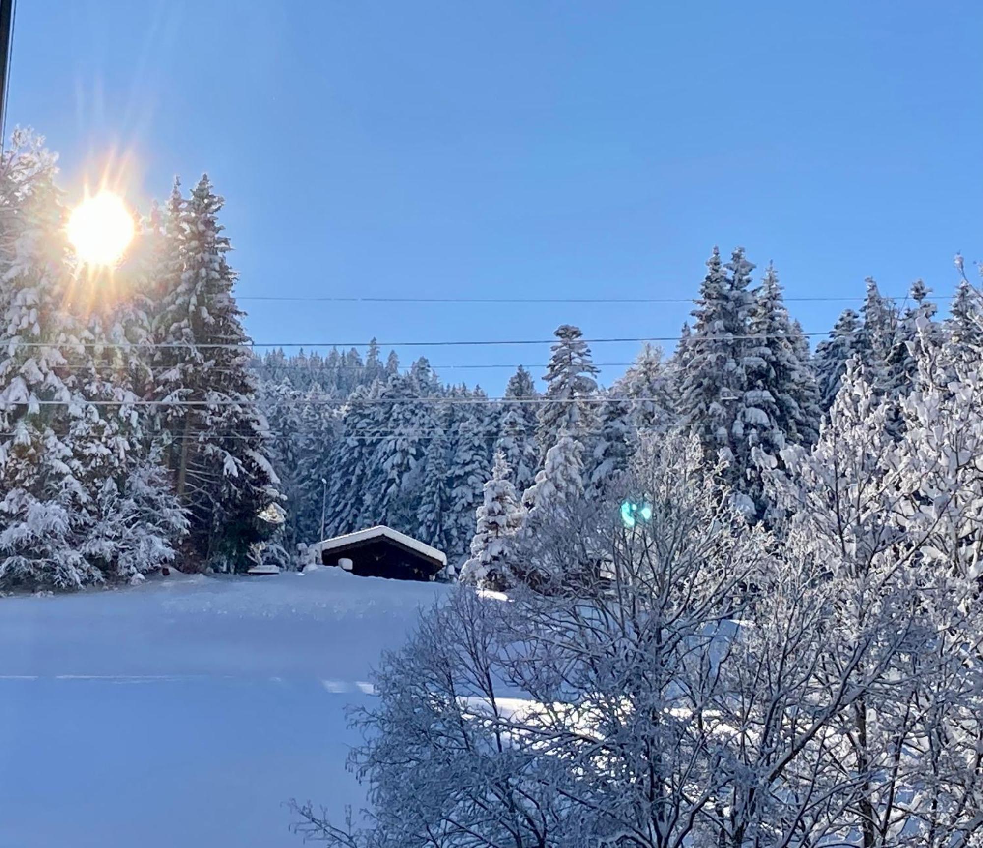 Ferienwohnung Haus Am Bach In Toggenburg Wildhaus Εξωτερικό φωτογραφία