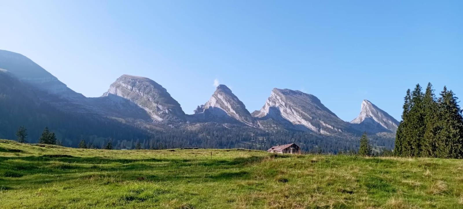 Ferienwohnung Haus Am Bach In Toggenburg Wildhaus Εξωτερικό φωτογραφία